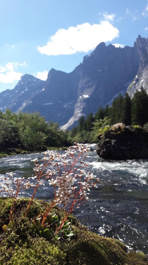 Trollveggen Camping Åndalsnes Kültér fotó
